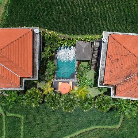 Cenik Villa Ubud Exteriör bild