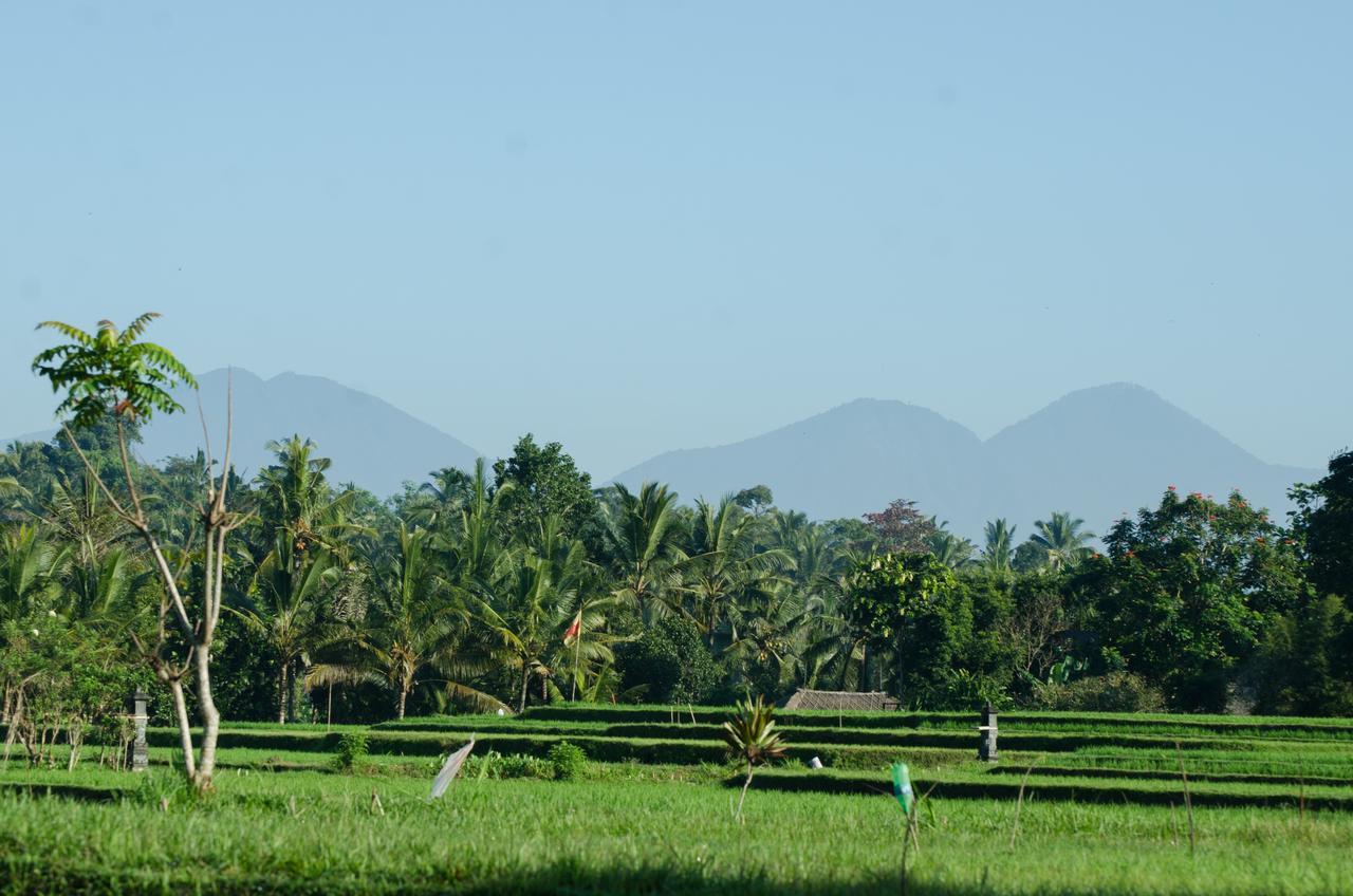 Cenik Villa Ubud Exteriör bild