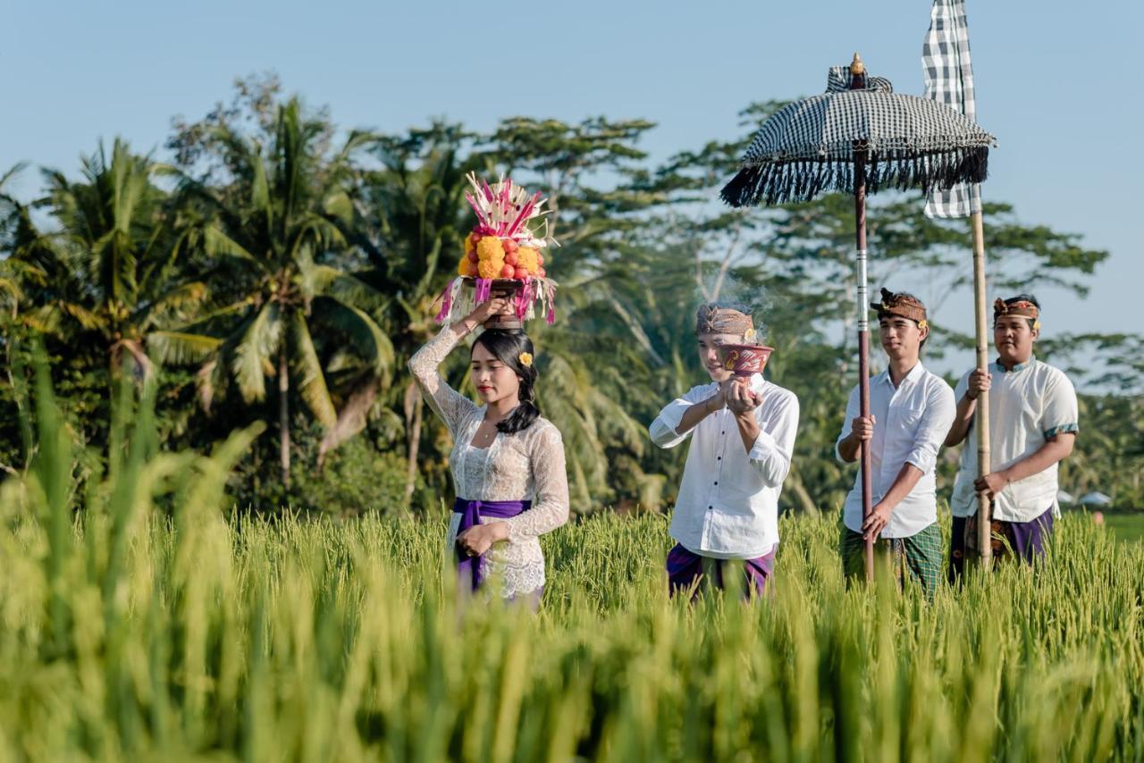Cenik Villa Ubud Exteriör bild