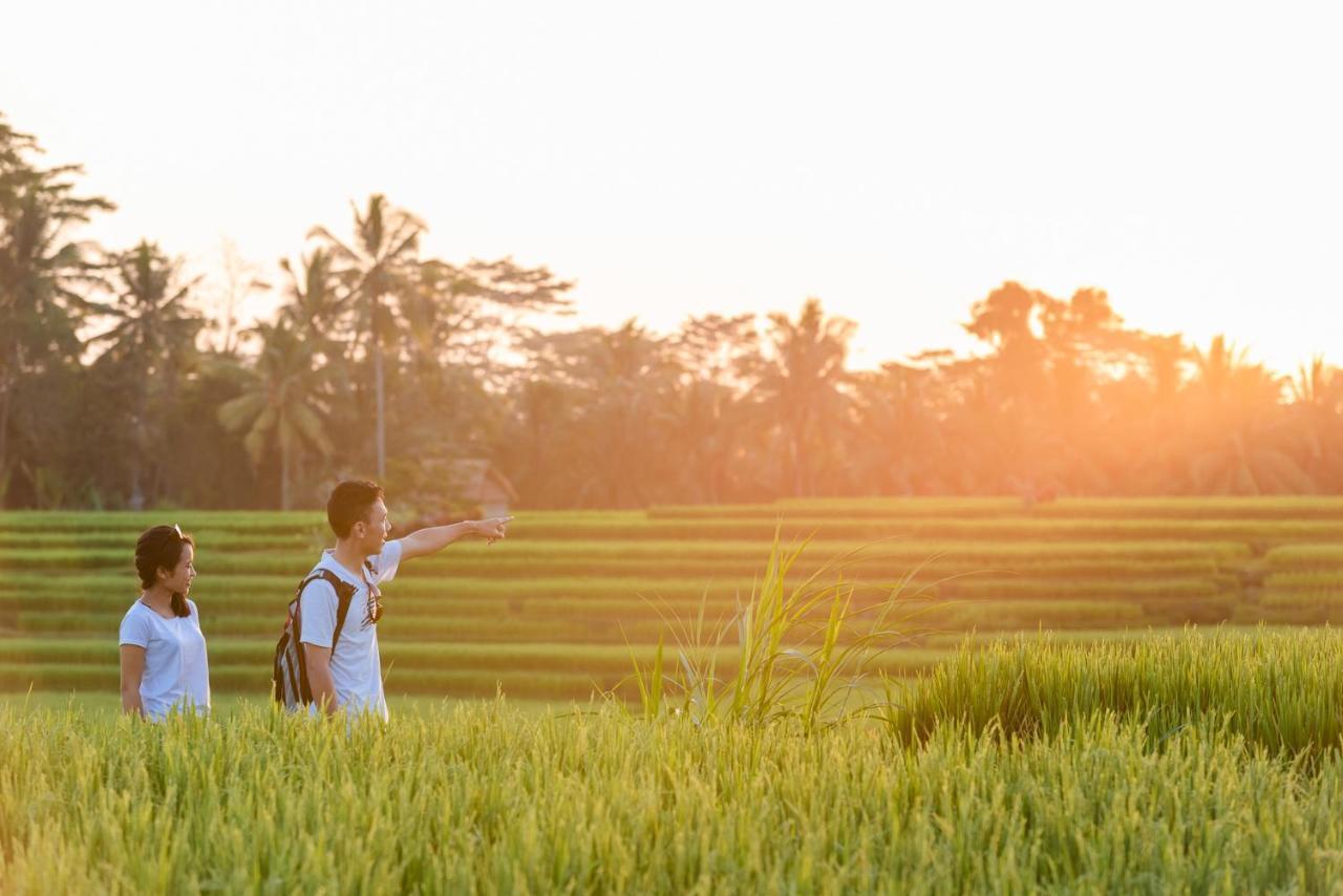Cenik Villa Ubud Exteriör bild