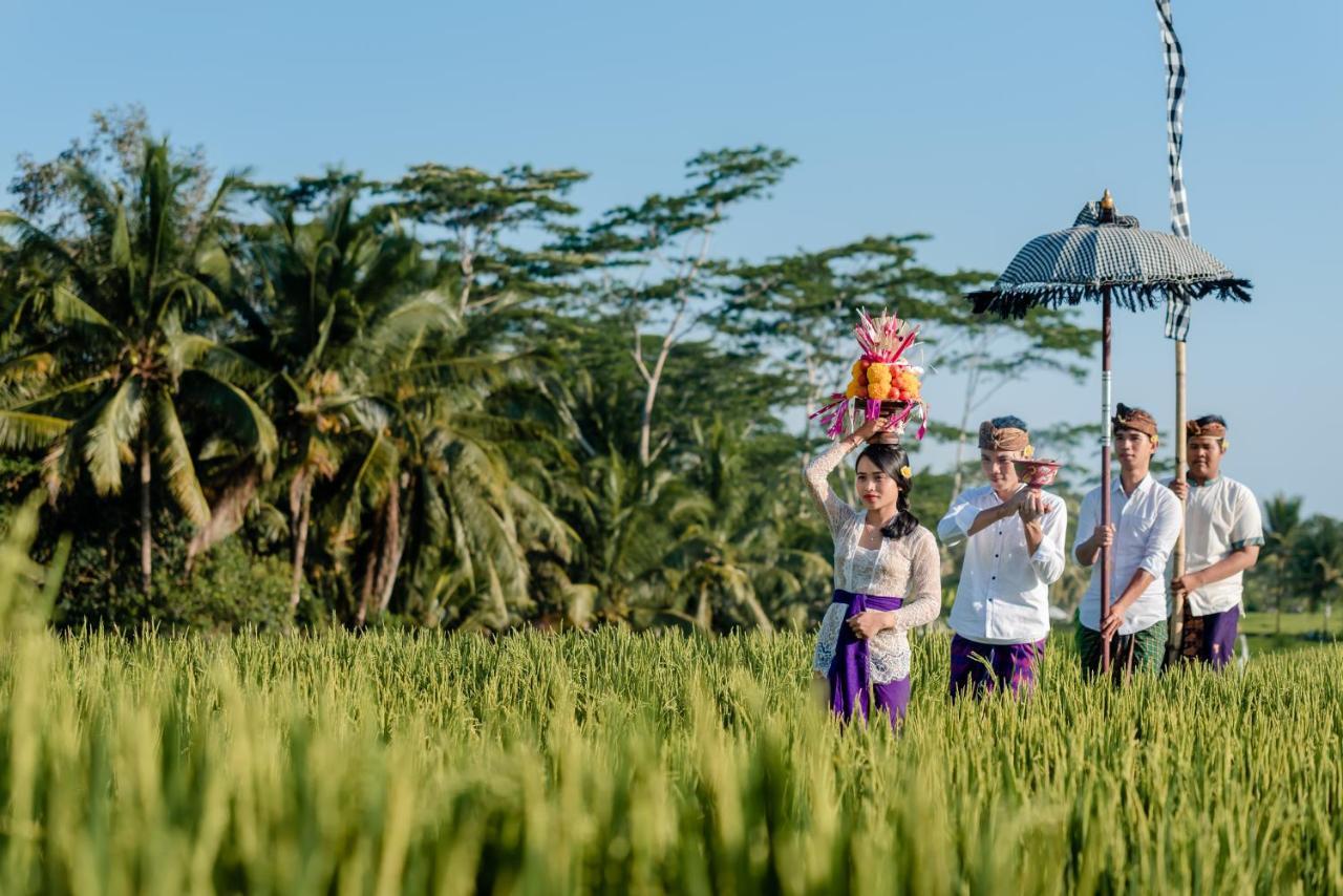 Cenik Villa Ubud Exteriör bild